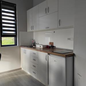 Eldhús eða eldhúskrókur á Apartman Riboškić Divčibare 2