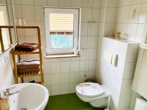 a bathroom with a sink and a toilet and a window at Ferienwohnung IRMGARD in Goseck