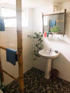 a bathroom with a sink and a shower at Villa Lagoonedge in Hikkaduwa
