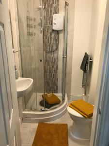 a bathroom with a shower and a toilet and a sink at Townhouse @ 46 Nelson Street Crewe in Crewe