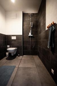 ラムサウ・アム・ダッハシュタインにあるHaus Bergzauberのバスルーム(シャワー、トイレ付)