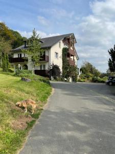 a dog standing in the grass next to a house at DAS LOFT Hotel Hölsterloh in Brilon