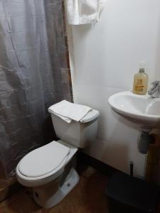 a bathroom with a toilet and a sink at Casita familiar de campo condina in Pereira