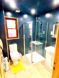 a bathroom with a shower and a toilet in it at Braemar Lodge Cabins in Braemar