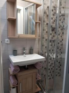 y baño con lavabo y ducha acristalada. en Apartmán V aleji en Slavkov u Brna