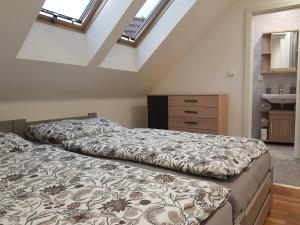 2 camas en un dormitorio en el ático con tragaluces en Apartmán V aleji en Slavkov u Brna