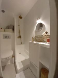 カップ・ダグドにあるAGREABLE STUDIO VUE PORT AU CAP D'AGDEのトイレと洗面台を備えた白いバスルーム