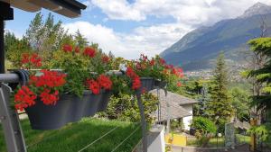 a pair of flowerpots hanging on a house at Oasi verde in Aosta