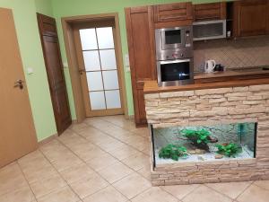 Kuchyň nebo kuchyňský kout v ubytování Apartmán V aleji + 5 fotografií