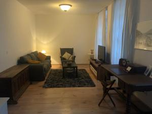 ein Wohnzimmer mit einem Sofa und einem Tisch in der Unterkunft Philosophen und Neckarblick Apartment in Heidelberg