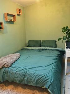 ein Schlafzimmer mit einem Bett mit blauer Bettwäsche und einer Pflanze in der Unterkunft Chambre privative au cœur de Liège maison d hôte chez l habitant in Lüttich