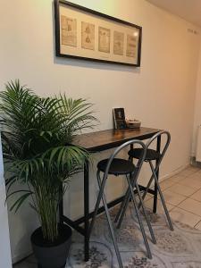 uma secretária com duas cadeiras e um vaso de plantas em Chambre privative au cœur de Liège maison d hôte chez l habitant em Liège