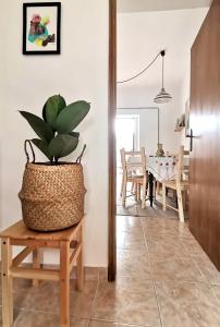 a plant in a basket sitting on a table in a room at Algarve house, sun, terrace, views and barbecue in Silves +28 photos