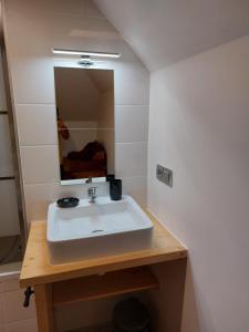 a bathroom with a sink and a mirror at Les Marmottes in Les Étalons