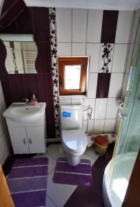 a small bathroom with a toilet and a sink at Cabanele FloriCrin - Cabana 1 in Cluj-Napoca