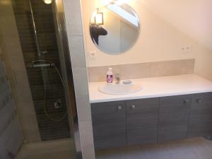 a bathroom with a sink and a shower with a mirror at les hortensias in Saujon