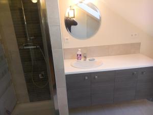 un bagno con lavandino e doccia con specchio di les hortensias a Saujon Altre 10 foto