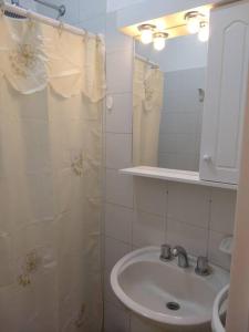 La salle de bains est pourvue d'un lavabo et d'une douche avec un miroir. dans l'établissement Dpto Microcentro Rosario, à Rosario