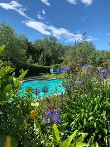 a swimming pool in a garden with purple flowers at Quail Farm, Colonial charm in Nelson