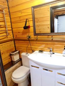 een badkamer met een toilet, een wastafel en een spiegel bij Деревянный 2-х комнатный домик in Kiev