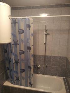 a bathroom with a shower with a shower curtain at Apartment - Sunny Peaks in Pale +7 photos
