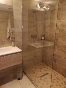 y baño con ducha y puerta de cristal. en Très bel appartement avec vue sur les montagnes, en Saint-Ismier
