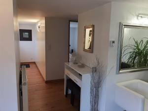 uma casa de banho com um lavatório e um espelho em Très bel appartement avec vue sur les montagnes em Saint-Ismier