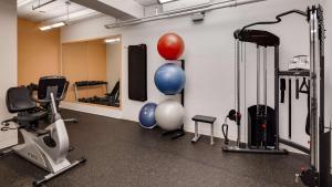 Fitness centrum a/nebo fitness zařízení v ubytování Best Western PLUS Morristown Inn-Florham Park