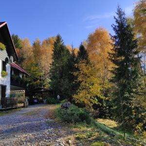 Příroda nedaleko apartmánu