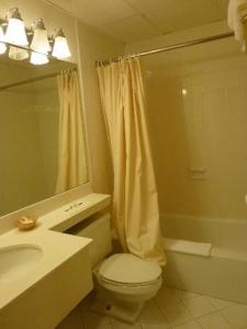 a bathroom with a toilet and a sink and a shower at Amsterdam Hotel in Stamford