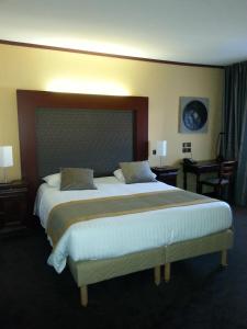 a bedroom with a large bed in a hotel room at Hotel De France in Montargis