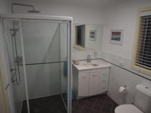 a bathroom with a shower and a sink and a toilet at Pollys View 117A Government Road in Nelson Bay +15 photos