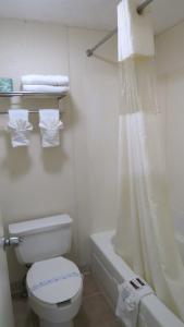 a bathroom with a white toilet and a shower at Budget Host Airport Inn in Waterville