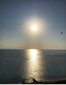 Táj az apartmanhotel közelében