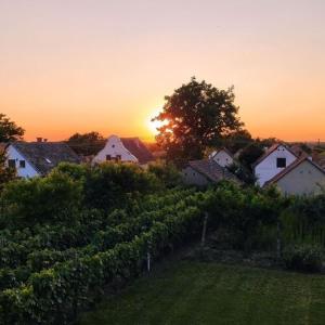 einen Sonnenuntergang über einem Weinberg mit Häusern und Bäumen in der Unterkunft Takács Pince apartman in Hajós