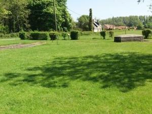 a large shadow of a tree on the grass at Gîte Fiefs, 2 pièces, 2 personnes - FR-1-376-1 in Fiefs