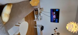 TV a/nebo společenská místnost v ubytování Apartman Ramonda Vrnjacka banja