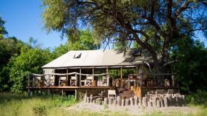 dom z dachem krytym strzechą i drzewem w obiekcie O Bona Moremi Safari Lodge w mieście Khwai