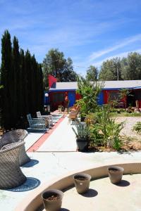 un patio con plantas frente a un edificio en Safari Motor Inn - Joshua Tree, en Joshua Tree