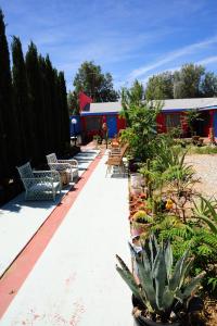 Zahrada ubytování Safari Motor Inn - Joshua Tree