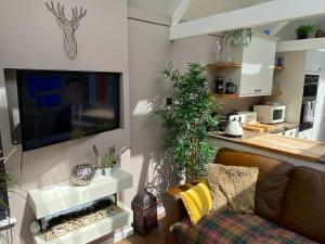 Winsor Croft في ساوثهامبتون: غرفة معيشة مع أريكة وتلفزيون على الحائط