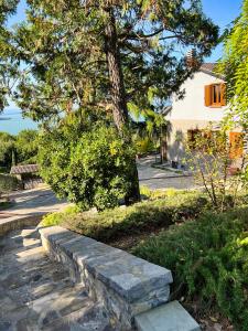 a tree and a stone path in front of a house at Casa dei Tramonti in San Feliciano