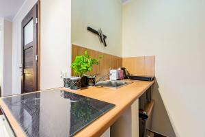 uma cozinha com um balcão e um lavatório em VacationClub – 300 Mill Apartament 1 em Szklarska Poręba