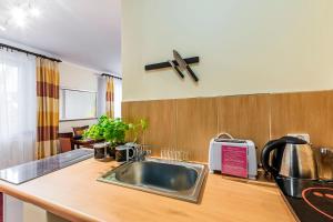 a kitchen with a sink and a counter top at VacationClub – 300 Mill Apartament 1 in Szklarska Poręba