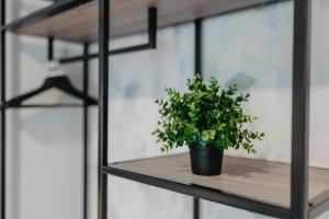 Fotografie z fotogalerie ubytování Premium Apartments Terme Sveti Martin v destinaci Sveti Martin na Muri + 37 fotografií