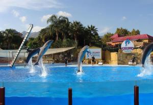 The swimming pool at or close to Family friendly patio and poolview