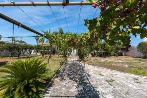 Vonkajšia záhrada v ubytovaní Villa Sorriso by BarbarHouse