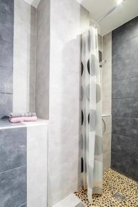 セレスタにあるGite Le Caveau Sélestat - 30min EuropaParkのバスルーム(シャワー、シャワーカーテン付)