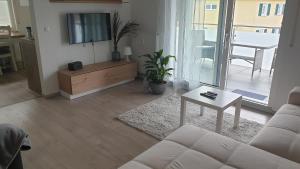 a living room with a couch and a tv and a table at Boardingappartement Windeckblick, ruhige, zentrale Lage mit großem Südbalkon in Bühl