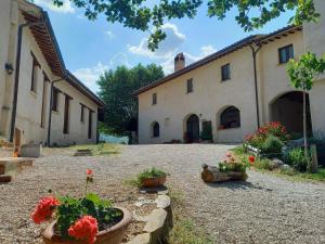 Agriturismo Il Covo del Solengo外面的花园